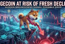 Dogecoin (DOGE) Under Pressure Again As Bears Eye Lower Levels