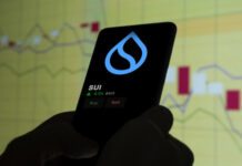 SUI Finds Strong Technical Support, Yet Broader Downtrend Fears Persist