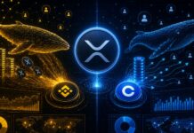 XRP Whale Dominance Returns To Binance While Coinbase Data Tells A Different Story