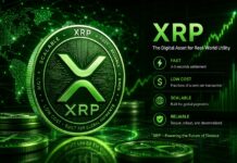 XRP Analyst Reveals The Real Catalysts; ‘The Price Discovery Will Be Biblical’