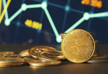 XRP’s Utility Narrative Extends Beyond Conventional Market Cap Metrics