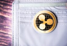 XRP Whale Vs. Retail Spread Just Hit A 2-Year Low, What This Means