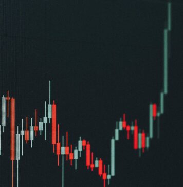 Could XRP Hit $10 This Bull Run? World’s Highest IQ Holder Thinks So