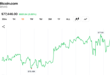 Bitcoin Adds $20B to Crypto Economy as Traders Defend $77,000 Support