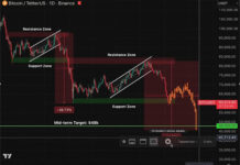 Has The Bitcoin Price Crash Ended Or Is This Just The Beginning? Analyst Answers