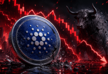 Cardano Crash Exposes ADA’s Deeper Problem, Says Longtime Bull