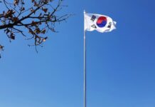 South Korea Halts KOSPI Trading After 8.4% Crash Trips Circuit Breaker