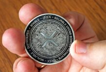 XRP Utility Moves Beyond Payments as XRPL Eyes Tokenized Stocks, Funds, Loans