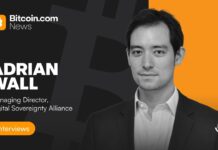 Digital Sovereignty and the Global Race for Stablecoin Regulation