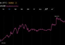 Bitcoin Price Breaches $81,000 as Bull Market Momentum Builds