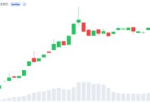 Bitwise XRP ETF Trading Volume Tops $200M Across Three Sessions