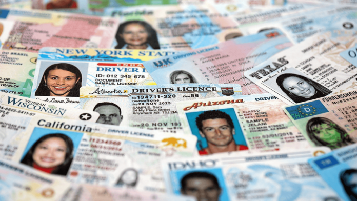 153-million-drivers-license-leak-sparks-explosive-kyc-backlash.png