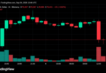 Bitcoin Price Plunges From $82K as $78,000 Becomes the Line