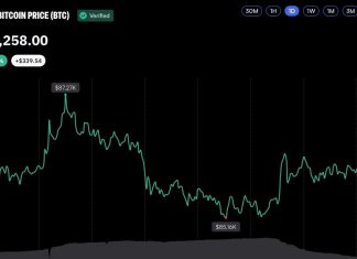 Bitcoin Liquidations Drop Sharply as BTC Price Holds Above $86,000