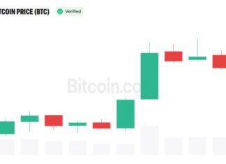 Analyst Sees 75% Chance Crypto Cycle Has Turned as Bitcoin Pulls Back