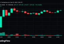 Bitcoin Price Teeters Near $80K as Momentum Starts to Crack