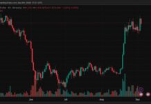 Bitcoin Price Rally Collapse Wipes Out $295M in Long Positions