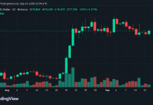 Bitcoin’s Price Refused to Break at $76K, but $79K Won’t Give