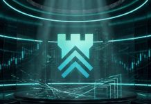 Byrrgis CEO Explains How Stablecoins Will Fix DeFi’s Biggest Flaw