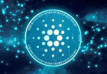 Brazilian State Energy Giant Petrobras Taps Cardano for Tracing Fuel