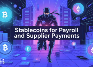 How Businesses Use Stablecoins for Payroll and Supplier Payments