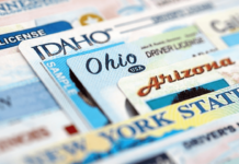 Nexus ID Breach Exposes a Blueprint for Fraud, Experts Warn