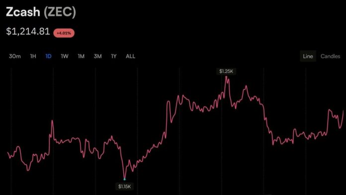 zcashs-1200-push-sustains-sending-garrett-jis-short-25-7m-underwater2_nwmk.jpg