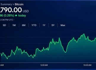 Bitcoin Price Clings to $82,800 as the Next Breakout Remains Elusive