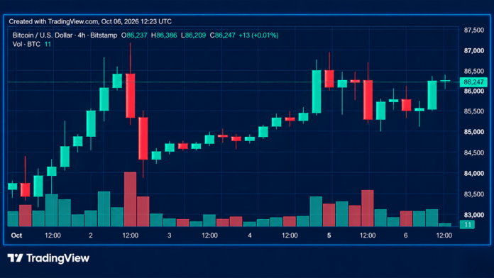 bitcoin-price-pounds-the-87k-wall-as-bulls-refuse-to-back-down.png