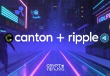 Ripple Custody Adds Canton Network Support, Bringing CC and CIP-56 Into One Vault