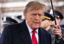 Young Crypto Voters Slam Trump Token Sales as Greedy Cash Grabs – Bitcoin News