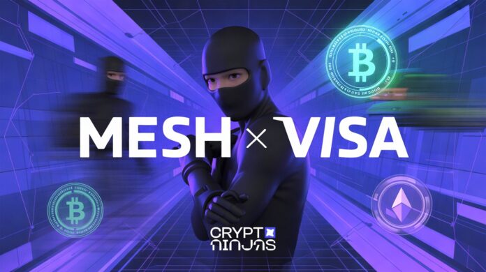 visa-mesh.jpeg